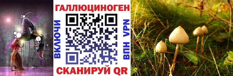 Псилоцибиновые грибы Psilocybe  Купить закладки  Ряжск 